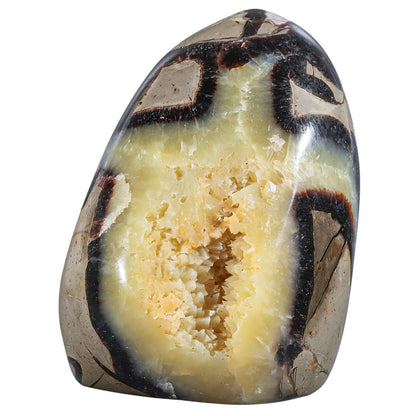 TUMBEELLUWA Natural Septarian Dragon Stone Crystal Geode Cluster, Irregular Mineral Specimen Crystals and Healing Stones for Home Room Decor, 83-135 mm