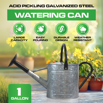 Plexon Metal Watering Can Outdoor 1 Gallon, Flower Plant Gardening Garden Large Galvanized Watering Can Pot Pitcher, Steel Black Handles and Removable Spray Spout