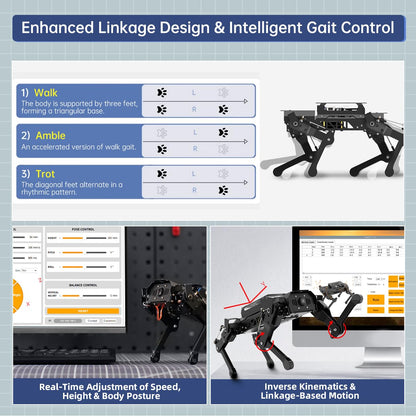 PuppyPi Robot Dog with ChatGPT Large AI Models AI Embodied Intelligence ROS Robotic Dog Vision Scene Voice Understanding SLAM Mapping Navigation Bionic Quadruped Robot, Standard Kit & RaspberryPi5 2GB