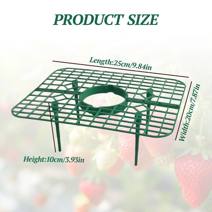 Richaa 10 Pcs Square Strawberry Plant Support, Strawberry Plants Holder with 4 Legs, Strawberry Plant Protector for Garden Growing Kit