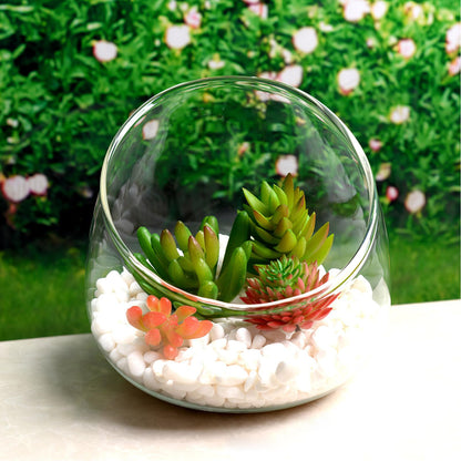 Yardwe Micro Landscape Ecological Bottle 4.72 Inch Clear Glass Vase Terrarium Jar for Succulents Moss Air Plants Home Decor Indoor Gardening Ornament