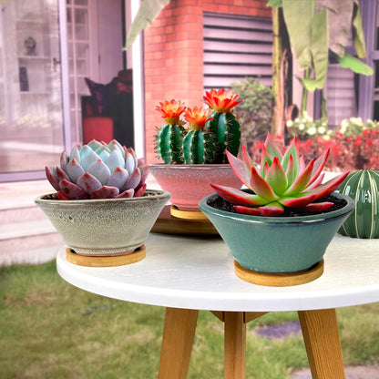 Summer Impressions 6 Inch Glazed Terracotta Succulent Pot Planter Small Plant Pot with Drainage Hole and Bamboo Saucer Cactus Ceramic Pot Set of 3 (Light Green Pink White)