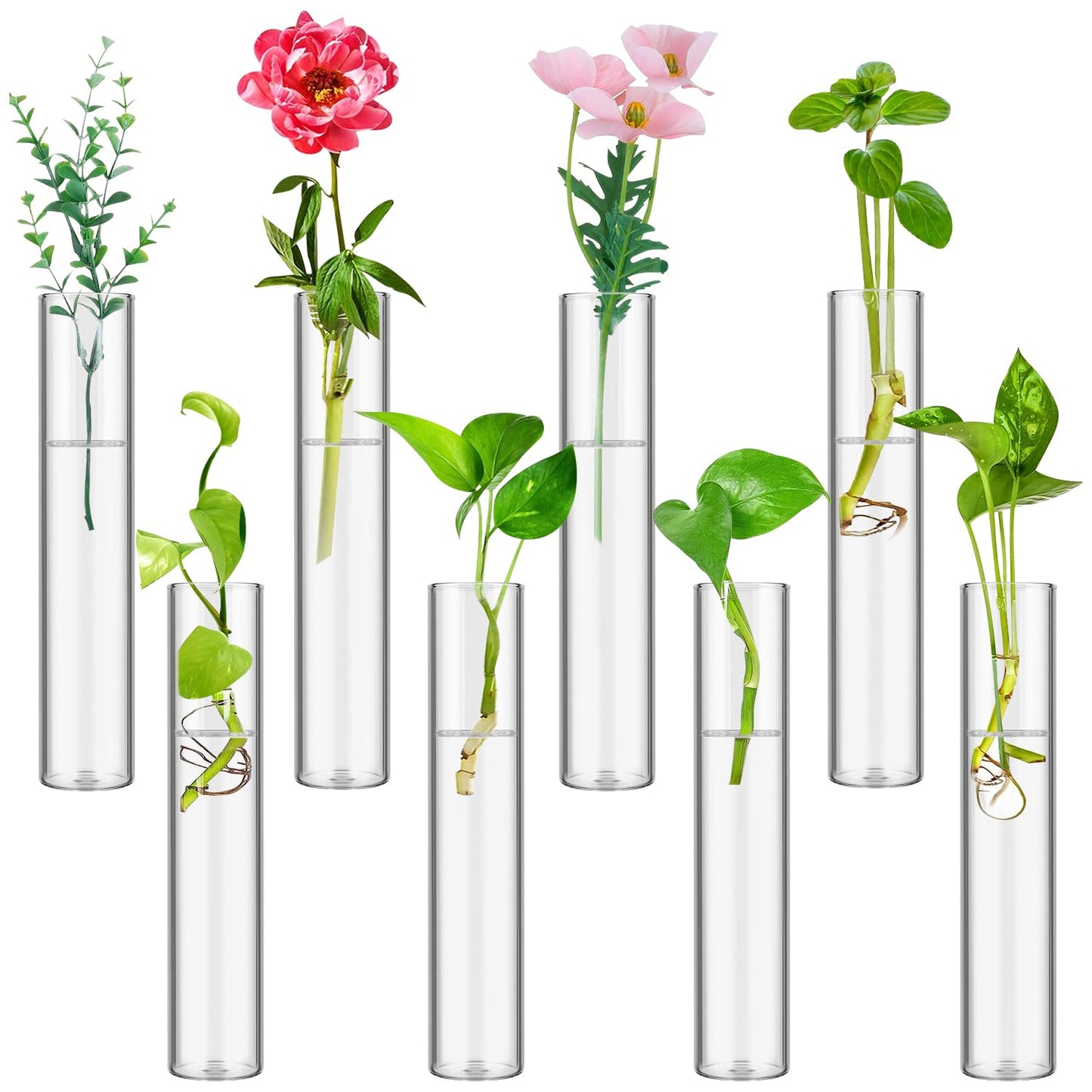 8 Tube Glass Plant Propagation Stations Clear Glass Test Tubes Tiered Planters Accessories for Home Office Plant Hanger Flower Vases Wall Decor Hydroponic Cuttings Clear Vases