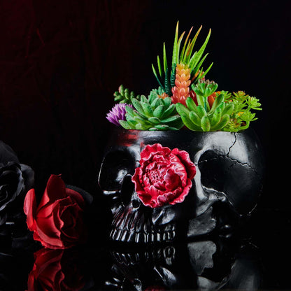 KIKTOP Camera Decorative Planter Plant Gift+Skull Planter Black Room Decor Head Planter