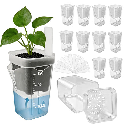 Fukaisu 12pcs 2in/5cm Self Watering Plant Pots with 12 Plant Labels, Small Clear Plastic Propagation Cups with Water Level Indicator & Drainage Hole for Seedlings Cuttings Succulents Herbs Vegetables