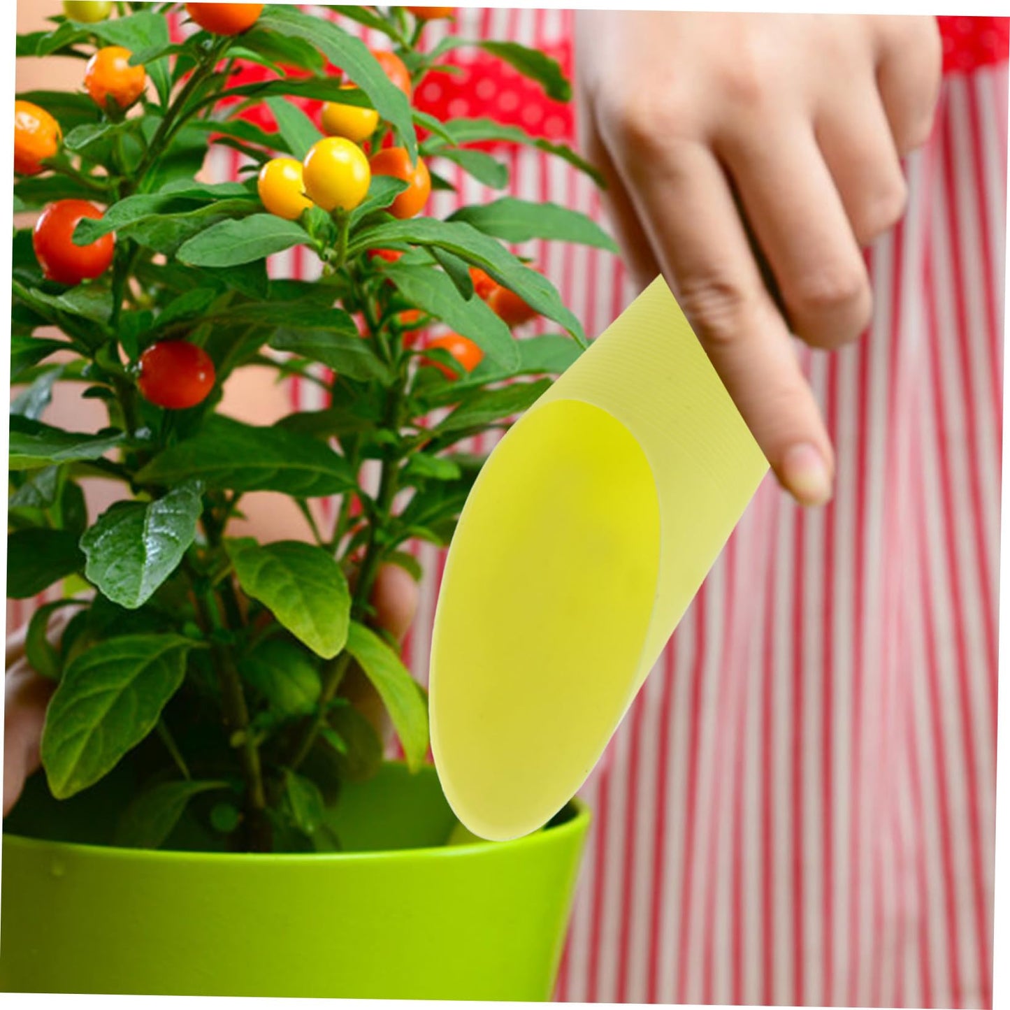 SUPVOX Bonsai Scoop 5pcs Plastic Plant Scoops Mini Garden Shovel Easy Cleaning Great for Potting Bonsai Mulch Random Color