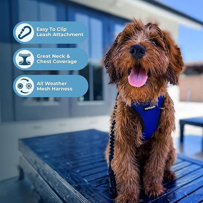 Best Pet Supplies Voyager Step-in Air All Weather Mesh Harness and Reflective Dog 5ft Leash Combo with Neoprene Handle, for Small, Medium and Large Breed Puppies - Royal Blue/Black Trim, Medium