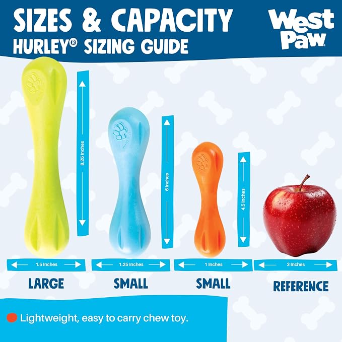 WEST PAW Zogoflex Hurley Dog Bone Chew Toy – Floatable Pet Toys for Aggressive Chewers, Catch, Fetch – Bright-Colored Bones for Dogs – Recyclable, Dishwasher-Safe, Non-Toxic, Small, Aqua