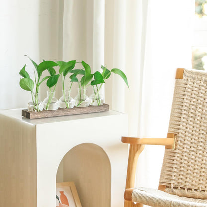 Bettstation Plant Propagation Station, Plants Terrarium with Wooden Stand 5 Bulb Houseplants Glass Vase for Hydroponic Plants Gift for Plant Lovers Home Office Decor