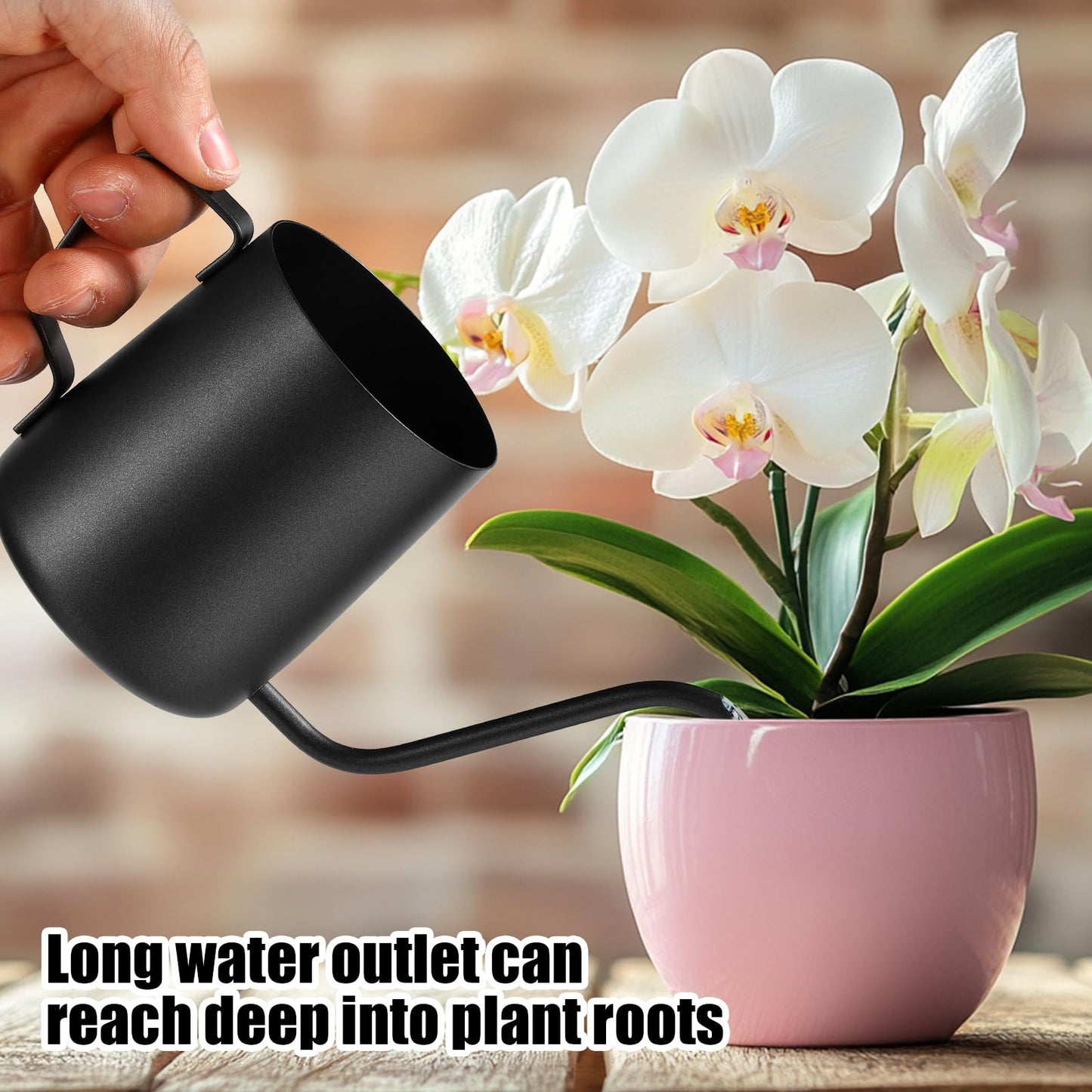 Plant Watering Can, 12 oz / 350 ml Stainless Steel Plant Watering Pot Small Watering Can with Long Spout for Indoor House Plants Flower Bonsai Outdoor Garden