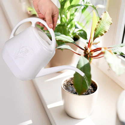 ZXJ Plant Watering Can - for Indoor and Outdoor Home Garden Plants - with Long Spout - White - 1/2 Gallon