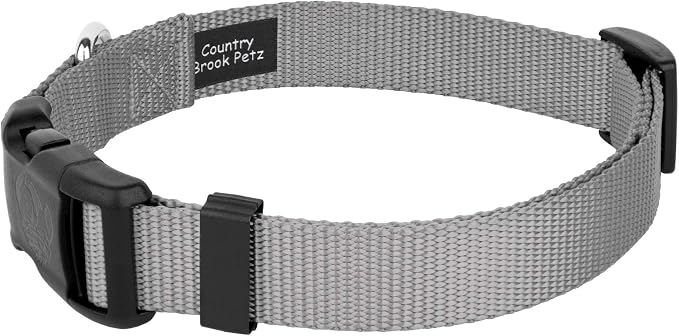Country Brook Petz - Everyday Nylon Dog Collar and Leash - 10+ Cool Colors (3/8 Inch, Extra Small, Silver)