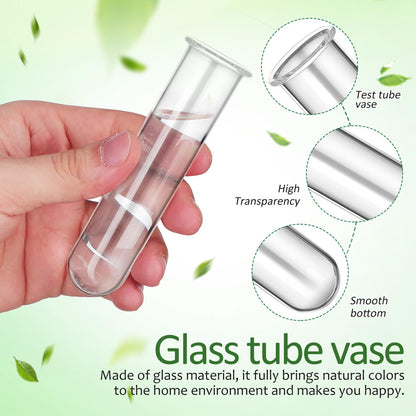 LIFKOME 5pcs Glass Test Tube Plant Vases 2.5x3x11cm Hydroponic Flower Tubes Propagation Station for Indoor Terrarium Gardening