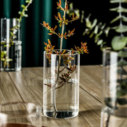 NUOBESTY Glass Flower Vase Hydroponic Cylinder Vase 10cm X 25cm High Borosilicate Glass Terrarium for Indoor Plant Display and Home Décor