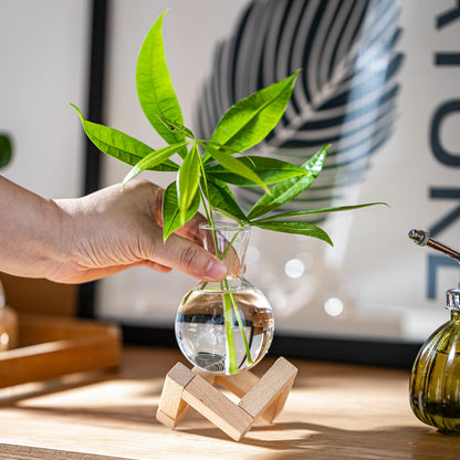 wangsdjy Propagation Stations, Propagation vases with Wooden Stand, Small Tabletop Glass Bulb Vases for Hydroponics Plant Propagation Station Home Office Decoration, Gift for Women Plant Lovers (6)