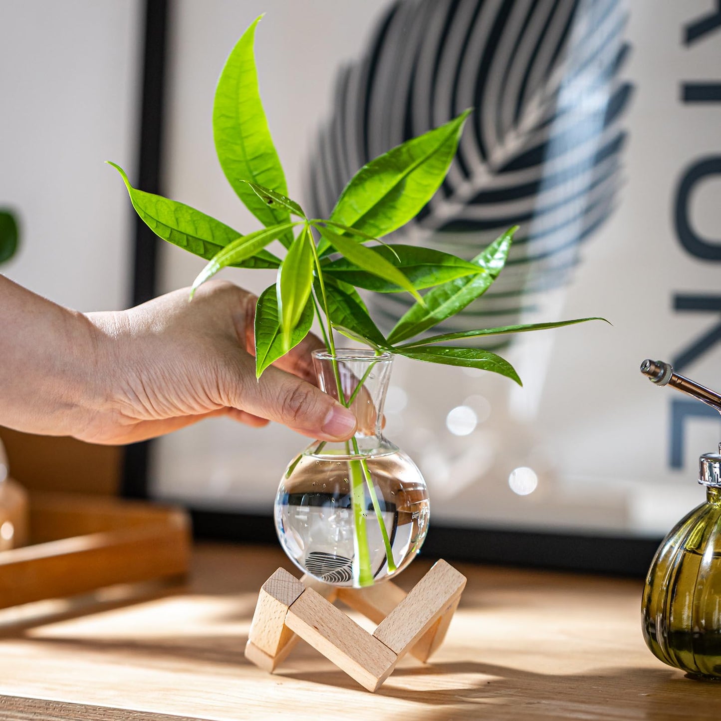 wangsdjy Propagation Stations, Propagation vases with Wooden Stand, Small Tabletop Glass Bulb Vases for Hydroponics Plant Propagation Station Home Office Decoration, Gift for Women Plant Lovers (4)