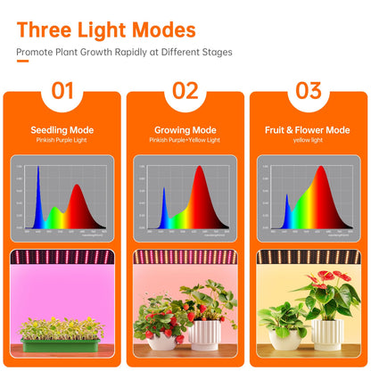 Bstrip Indoor Greenhouse with Grow Lights, 4 Tier 27.2" L×19.9" W×61.8" H Mini Greenhouse with Zippered PVC Cover for Seed Starting Trays, Dimmable 2FT 60W Plant Light for Indoor Plants with Timer