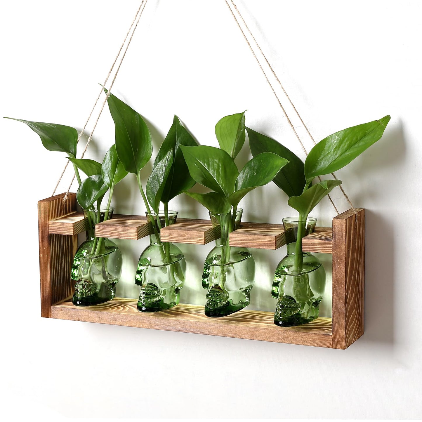 CYZglass Plant Propagation Stations Halloween Skull Plant Terrarium Kit Glass Vases Gift for Father Air Planter Home Office Decor