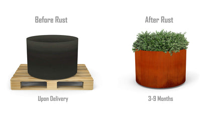 PLANTERCRAFT Corten Steel Metal Planter Box, Round Sizes, Modern Garden Steel planters for Commercial and Residential Outdoor Use.
