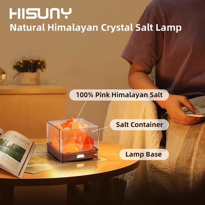 HISUNY Touch Himalayan Salt Lamp with Smart Heating Essential Oil System, 6-Way Dimmable Mini USB LED Pink Natural Salt Rock Night Lamp for Home Decor Zen Gifts Salt Therapy Yoga Spa Meditation