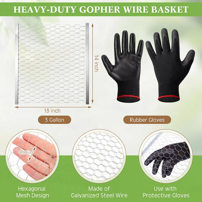 Yaocom 12 Pcs 3 Gallon Heavy Duty Gopher Wire Baskets Hexagonal Galvanized Mesh for Shrubs Vines Bushes Plant Root Protection