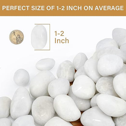 NUPICK 12lb White River Rocks for Plants Indoor, 1-2Inch Pebbles for Vases Fillers, Decorative Gravel for Fish Tank, Natural Polished Stones for Succulent, Bonsai, Landscaping, Bird Baths