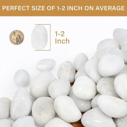 NUPICK 16lb White River Rocks for Outdoor Landscaping, 1-2 Inch Pebbles for Indoor Plants, Natural Polished Aquarium Gravel, Decorative Rocks for Succulent, Garden, Vases Fillers, Bird Baths