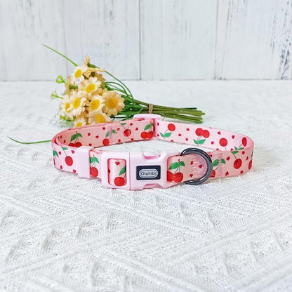 Dog Collar Leash Set, Fruit Pattern, Polyester Material, Adjustable Collar and 5ft Matching Leash, for Medium Dogs.(M, Pink Cherry)