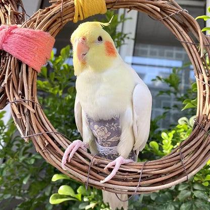 Bird Flight Suits Diapers, Parrot Flight Suits Diapers for Quaker Parakeets Cockatiels Conures Macaw African Grey, Bird Diaper, Parrot Clothes (Green C,2M)
