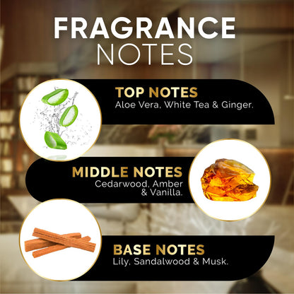 Luxury Hotel Diffuser Oil for Hotels and Homes - Aromatherapy Oils for use with an Essential Oil Diffuser at Home - Fragrance-Scent Diffuser Oil Blend (Winter Spruce) 4.05fl oz (120ml)