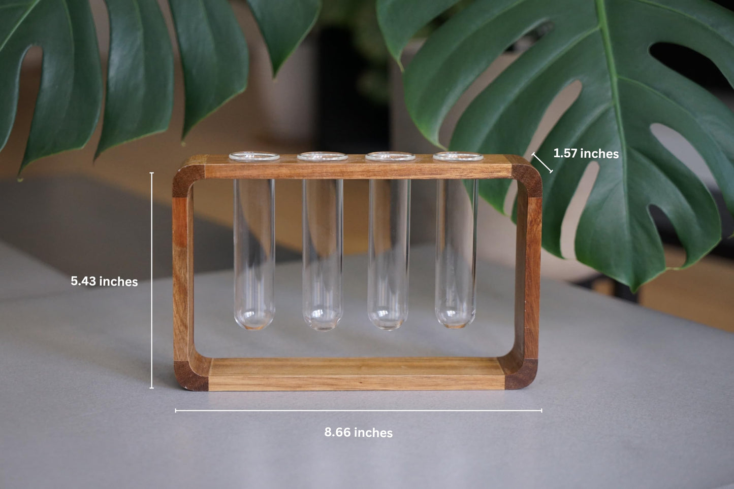 Source & Plot Plant Propagation Station - Acacia Wood Stand with 4 Glass Test Tubes, Tabletop Hydroponic Terrarium Planter Rack for Rooting & Houseplant Decor, Gift for Plant Lovers