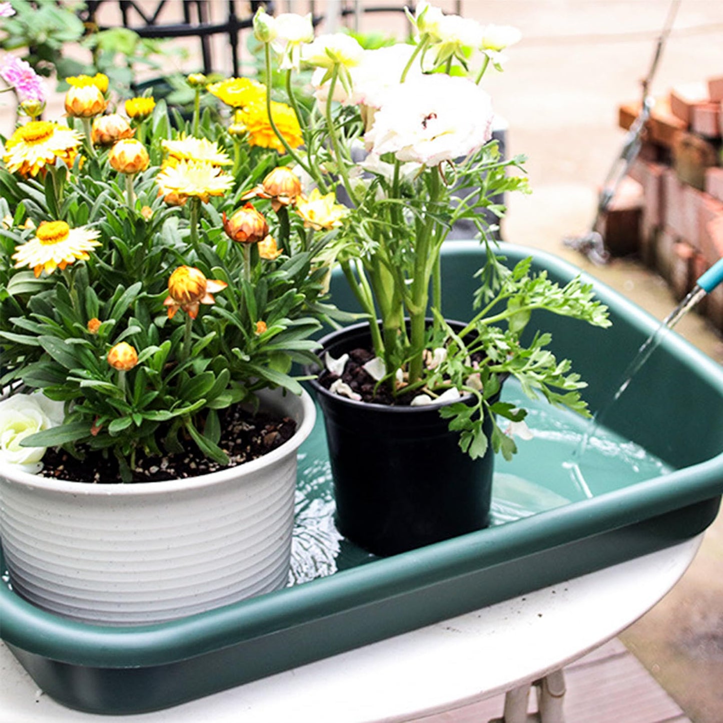 Luwint Garden Tidy Potting Tray, Plant Reportting Tray for Indoor Transplanting Gardening Planting Accessories Large Succulent Table