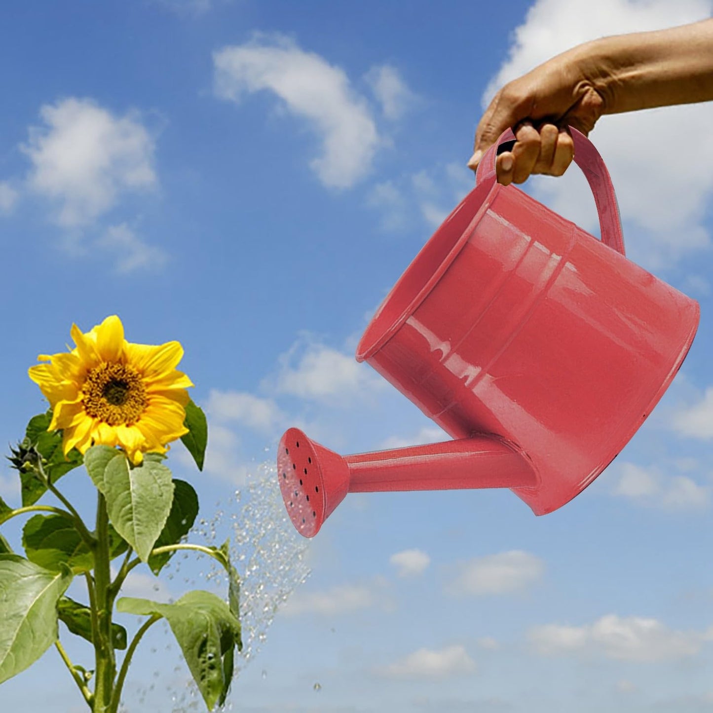 Galvanized Watering Can 1L,Tinplate Watering Kettle with Removable Spout,Garden Decorations,Gardening Tools for Outdoor Indoor Plants Lawn Garden (Pink)