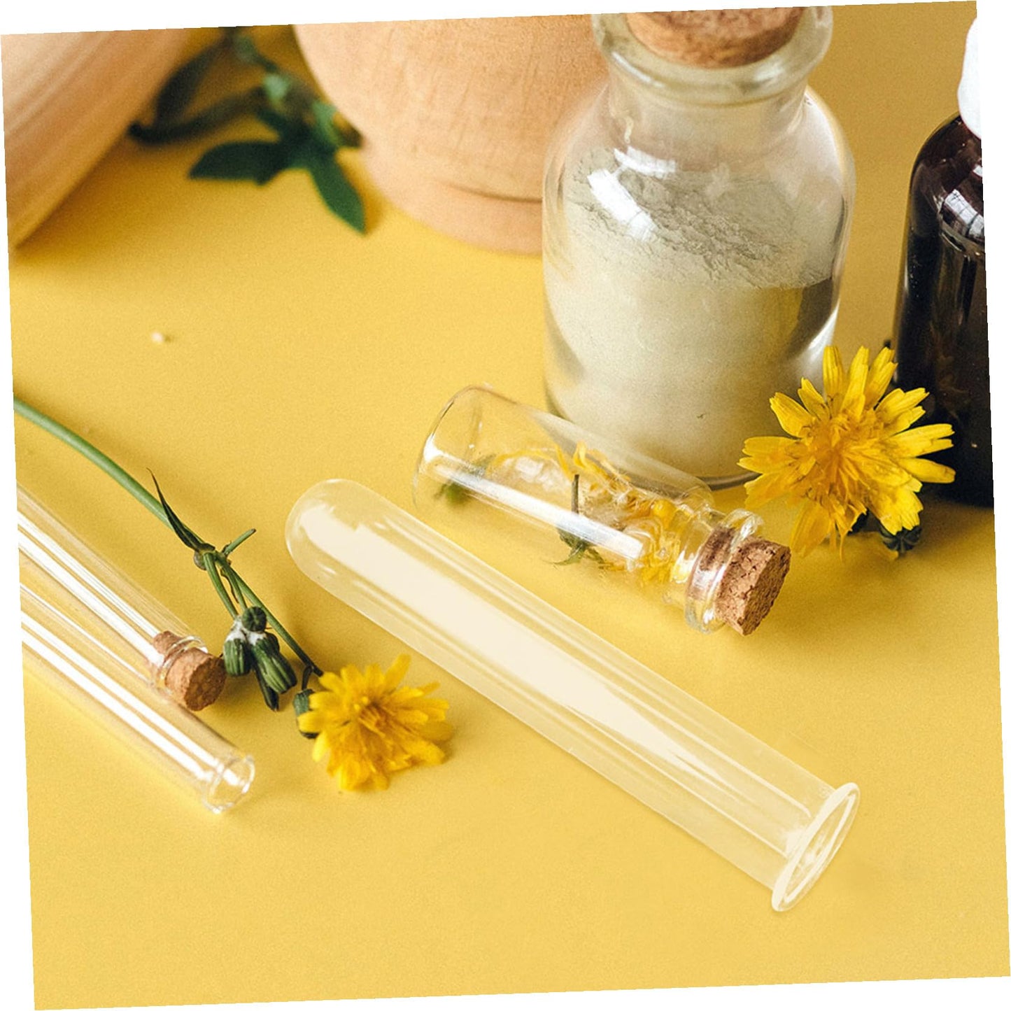 Ciieeo 5pcs Glass Hydroponic Plant Propagation Tubes Desk Vase for Live Plants Transparent Terrarium Tubes for Home Office Decoration and Floral Arrangements