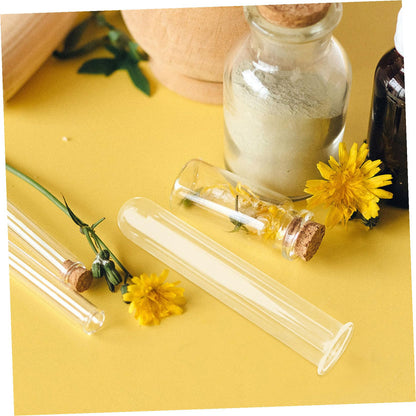 Ciieeo 5pcs Glass Hydroponic Plant Propagation Tubes Desk Vase for Live Plants Transparent Terrarium Tubes for Home Office Decoration and Floral Arrangements