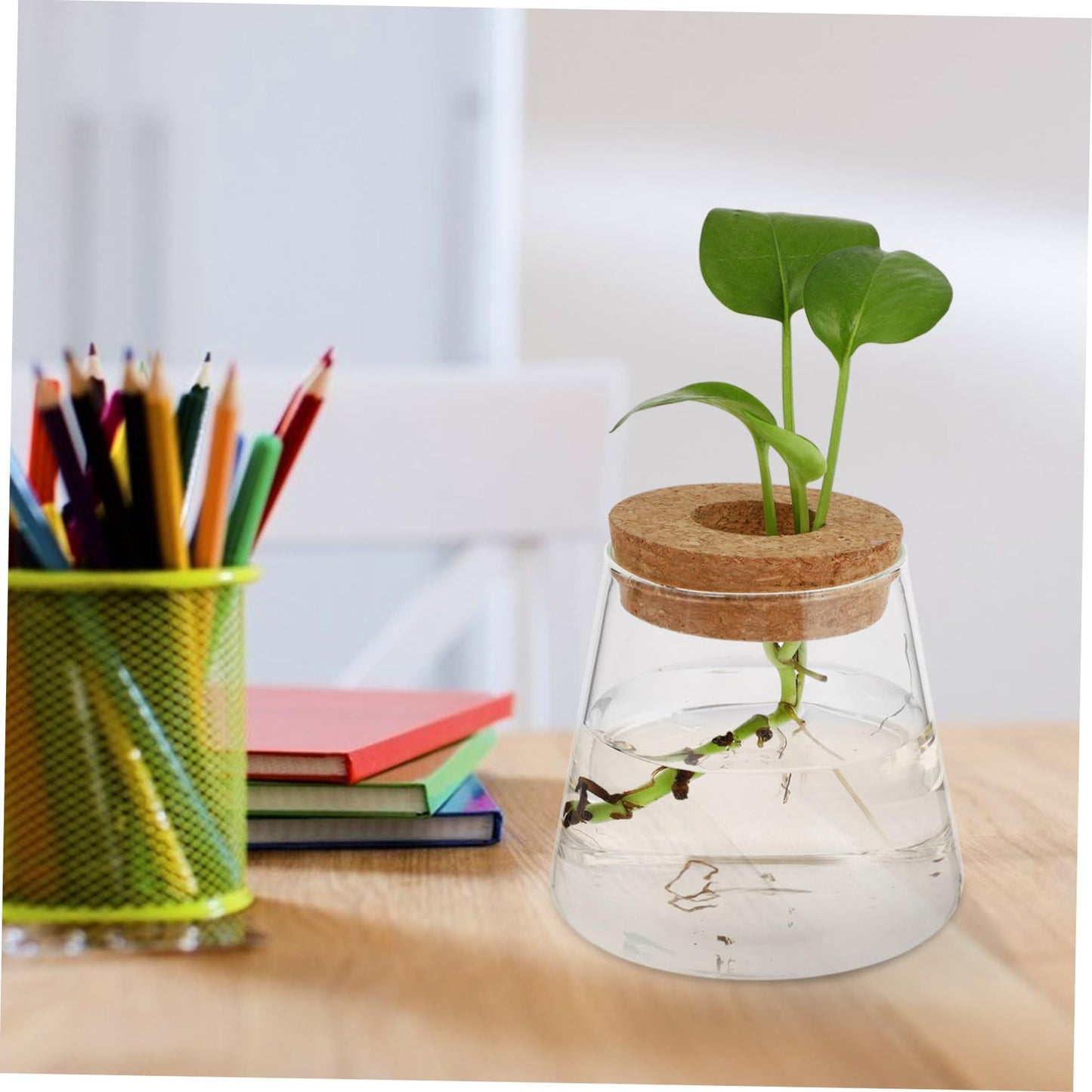 Ipetboom 2Pcs Glass Hydroponics Vase for Desktop Plant Propagation Home Decoration Terrarium Planter with Smooth Finish Stylish Glass Bottles for Floral Arrangement and Gift Ideas