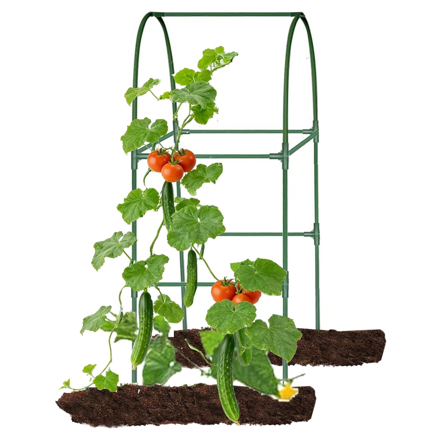 Cucumber Trellis for Plant Climbing- Cucumebr Arch Trelli for Flower Vine Vegetable Tomato Cage Raised Bed- Foldable Garden Tunnel Trellis (Green)
