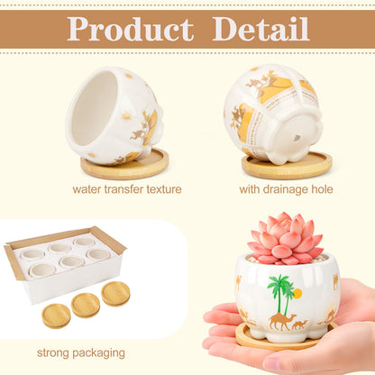 Succulent Pots - 3.1 Inch Small Plant Pots with Drainage Tray, Ceramic Flower Pots for Indoor Plants, 6 Pack Succulent Planters for Cactus Plants, Home Office Decor