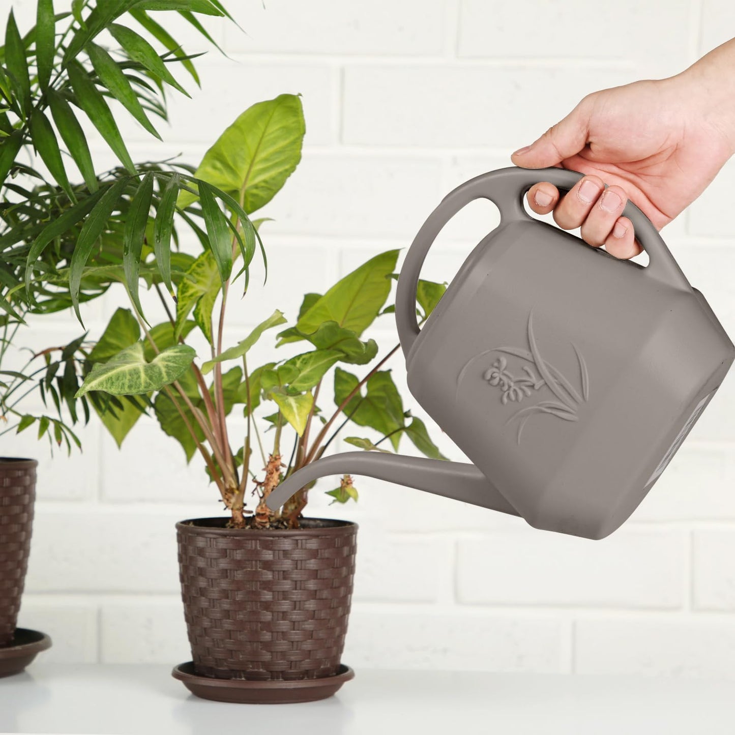 ZXJ Plant Watering Can - for Indoor and Outdoor Home Garden Plants - with Long Spout - Coffee Color - 1/2 Gallon