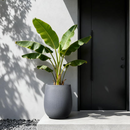 Worth Garden Large Dark Gray Round Planter, 12.5" x 18.5" Lightweight Magnesium Oxide Cement Plant Pot with a Striped Textured Finish, Raised Pattern Concrete Look, Drainage Hole, Indoor & Outdoor