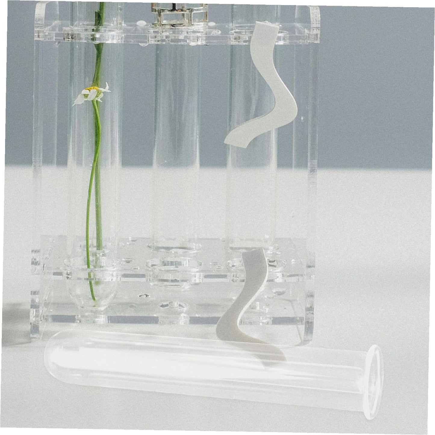 JEWEDECO 5pcs Glass Test Tubes for Plant Propagation Vase Hydroponic Floral Water Tubes Glass 2.5x3x15cm Small Terrarium Plants Home Décor