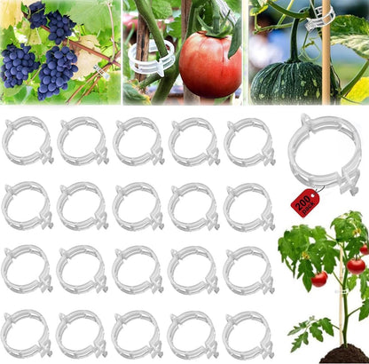 oddmmo 200 Pack Secured Plastic Plant Clips, 2024 Combinable Plant Support Clips, Plastic Trellis Clips for Climbing Plants, Vine Vegetables Fixing Clips, Plant Clips for Tomato Trellis & Peony Cages