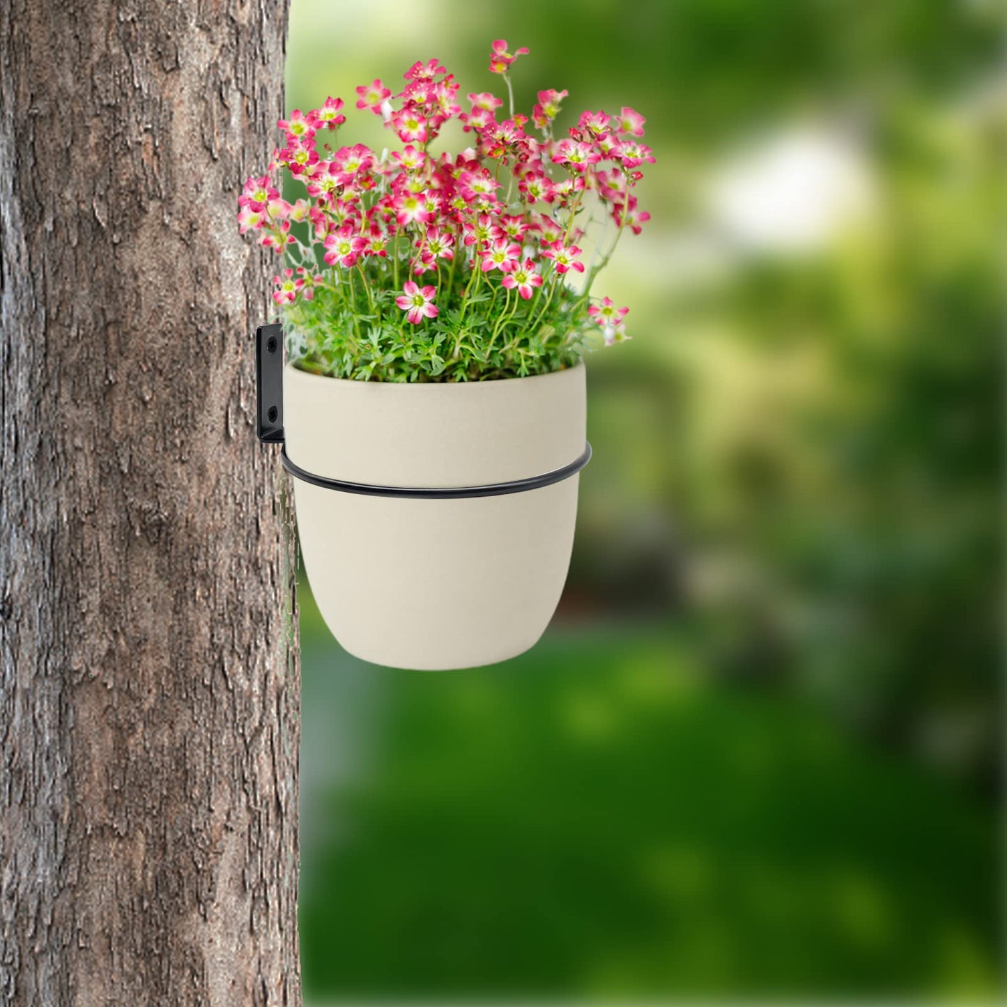 Greemov 6 Pack 4 Inch Wall Flower Pot Holder Ring Plant Hanger, Metal Planter Hooks Wall Mounted Bracket Heavy Duty for Outdoor Indoor