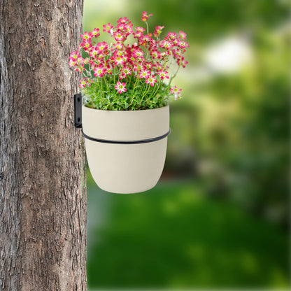 Greemov 6 Pack 6 Inch Wall Flower Pot Holder Ring Plant Hanger, Metal Planter Hooks Wall Mounted Bracket Heavy Duty for Outdoor Indoor