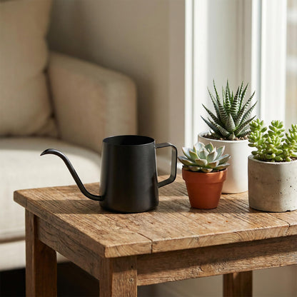 350ml Small Watering Can for Indoor Plants, 12oz Mini Plant Watering Pot with Long Spout and Handle, Black Tiny Stainless Steel Watering-Can for Outdoor Indoor Plants Flower Garden