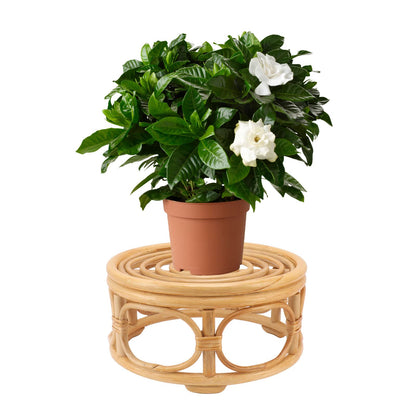 Round Plant Stand, Rattan Wicker Circle Pedestal Round Riser Plant Stand, Flower Pot Stands for Indoor Plants, Handmade Rattan Planter Stand for Home Kitchen Tabletop Decor (L)