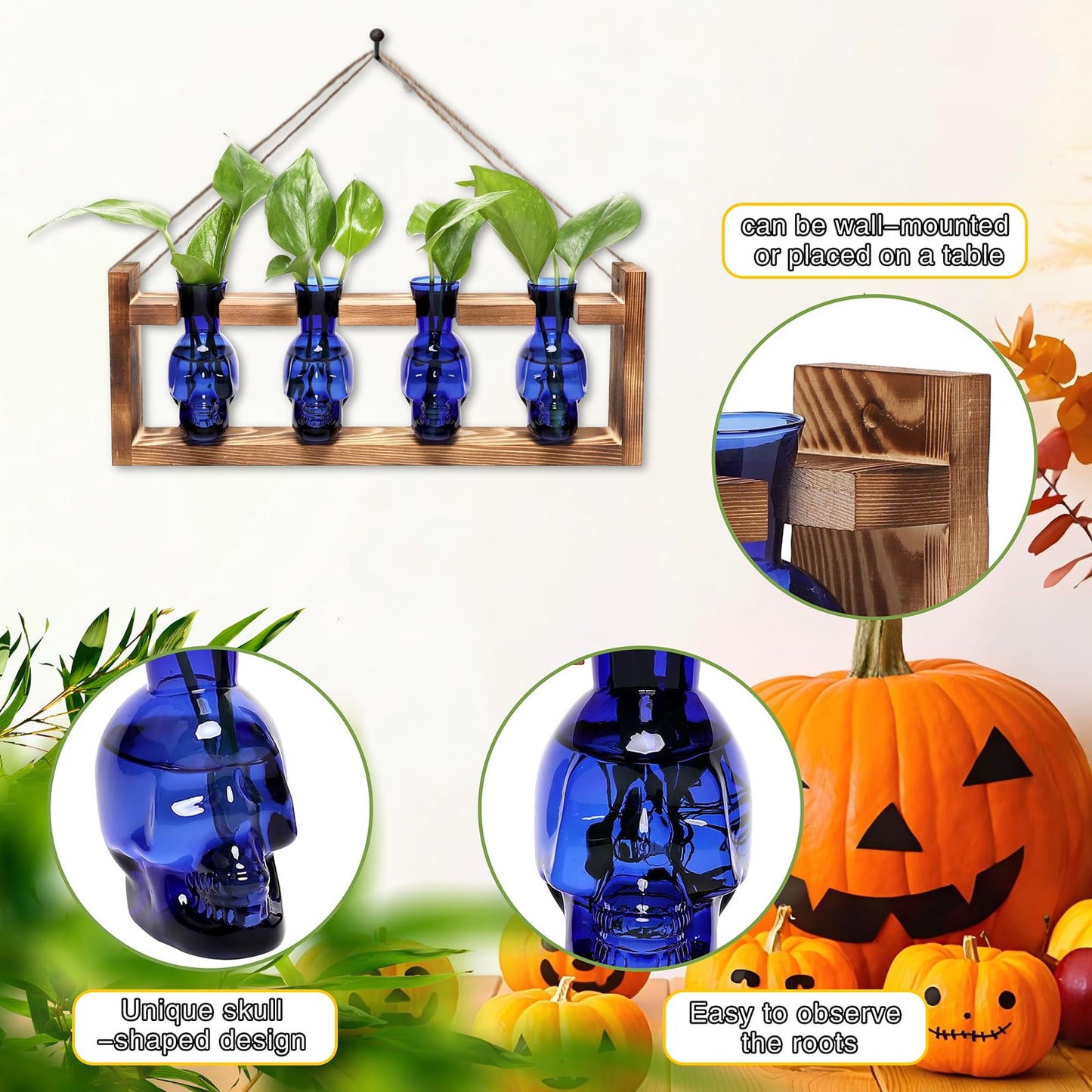 CYZglass Plant Propagation Stations Halloween Skull Plant Terrarium Kit Glass Vases Gift for Father Air Planter Home Office Decor