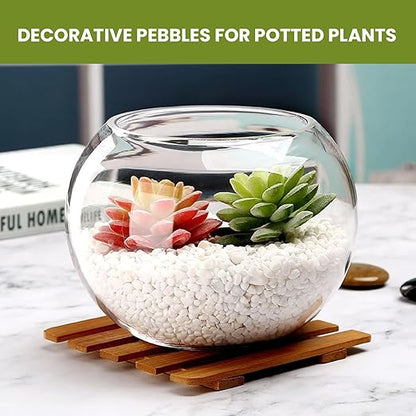 3/8 Inch Polished Decorative Pebbles, River Rocks for Indoor Plants, Succulents, Planters, Vases, Fish Tank, Aquarium Gravel & Landscaping, Snow White, 6LB