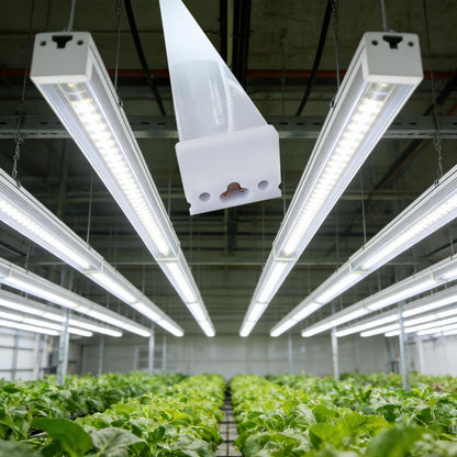 Grow Lights for Indoor Plants Full Spectrum Grow Lights for Seed Starting,4FT 5000K Daylight White Plant Light for Indoor Plants,252W(6x42W 1400W Equivalent) Linkable Design,Greenhouse,6 Pack