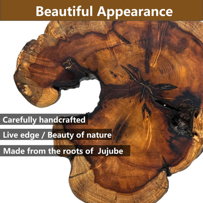 DONZIKLE Natural Live Edge Wood Sculptures Home Decor, Irregular Abstract Jujube Tree Root Wooden Statues for Table Top Decor, Decorative Root Carving Ornament (Medium)